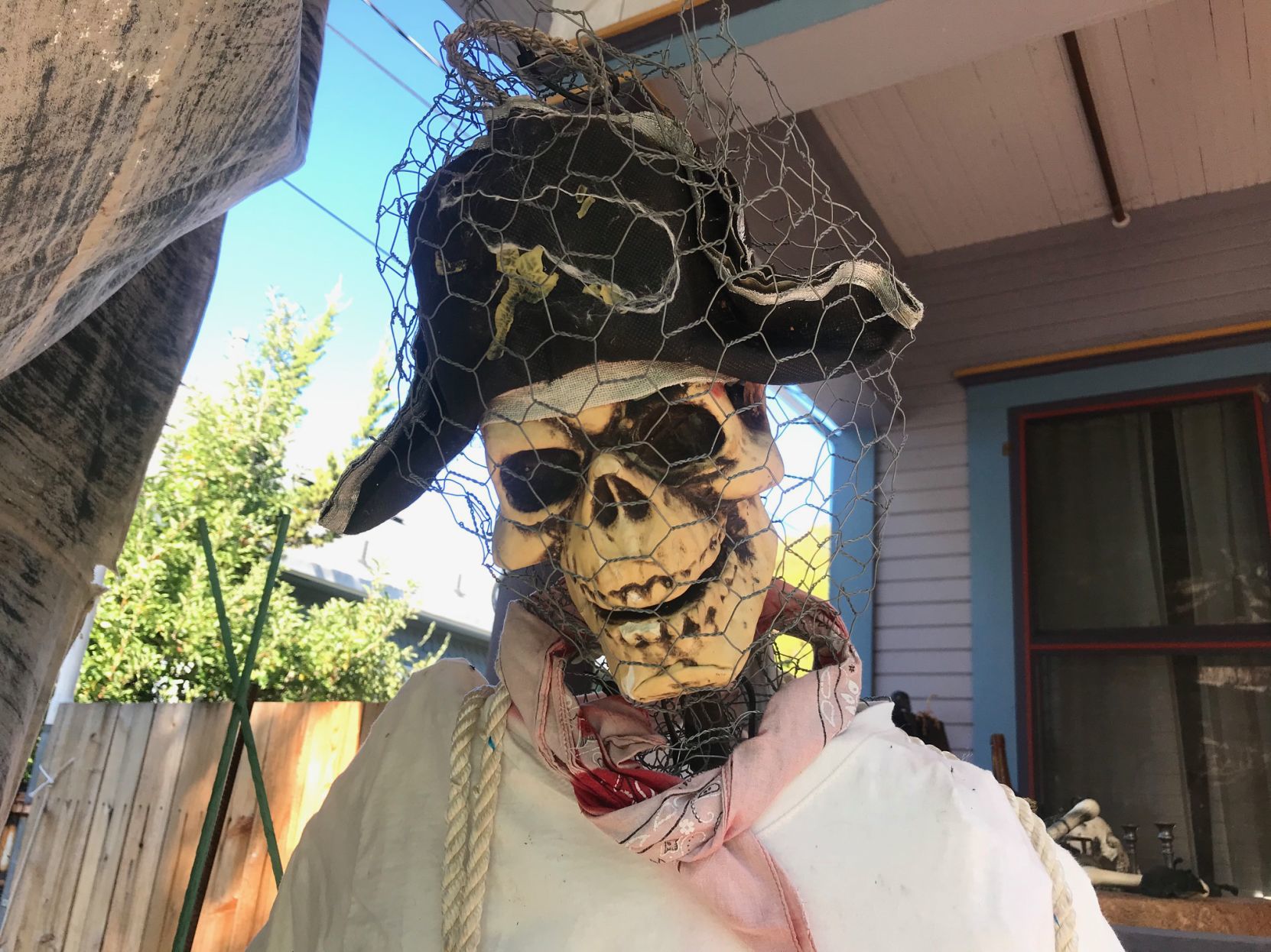 Napa Halloween Yard Display